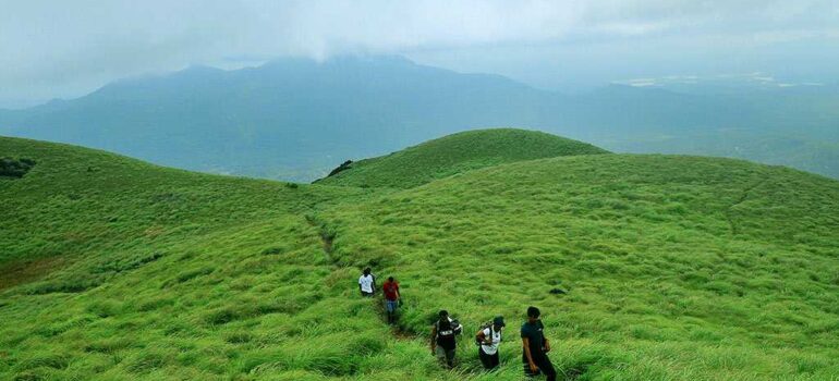 Wayanad Trekking Trails
